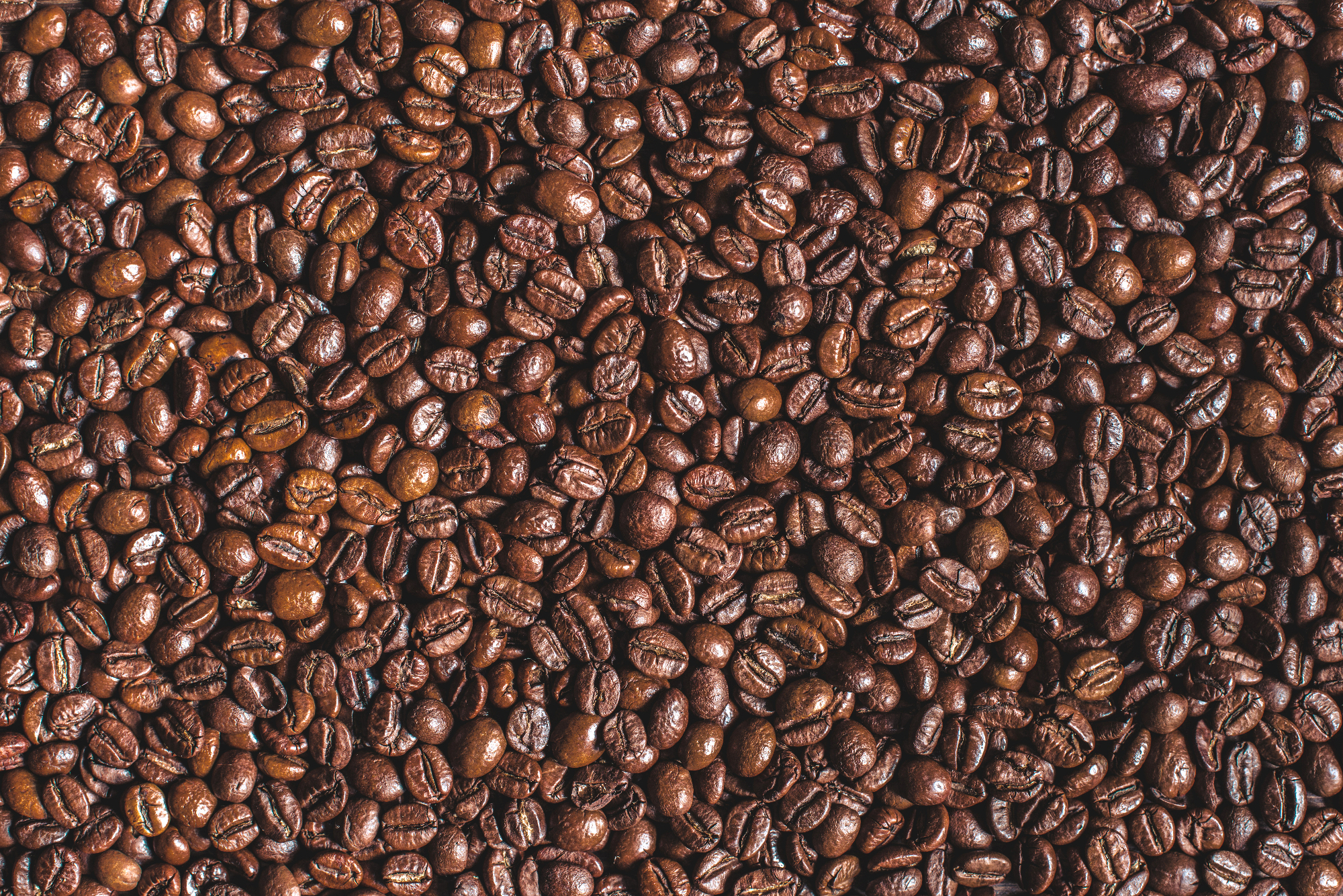 Kava je ena izmed najbolj priljubljenih pijač med ljudmi